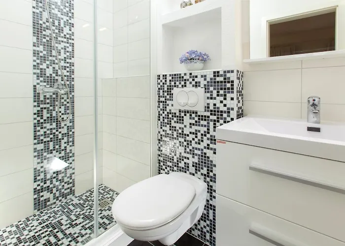 Pansion Mlikota 普罗马尼亚