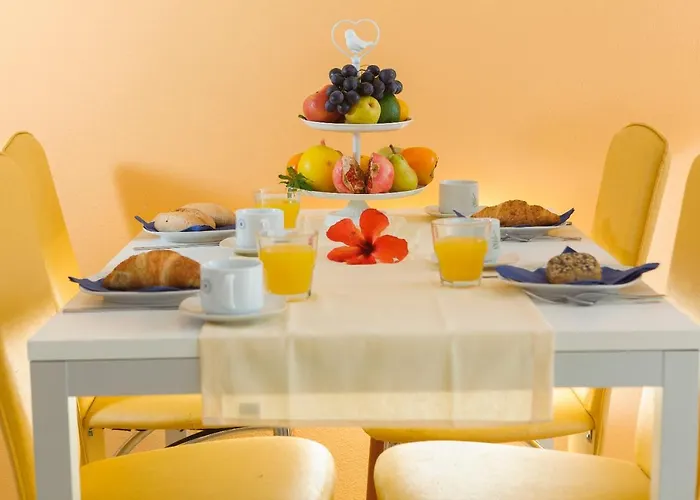 Pansion Mlikota 普罗马尼亚